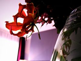 04 Boutique Hotels Dublin