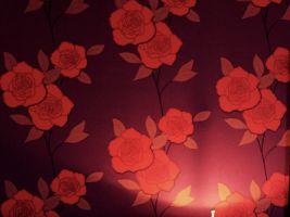 06 Donnybrook Hotels